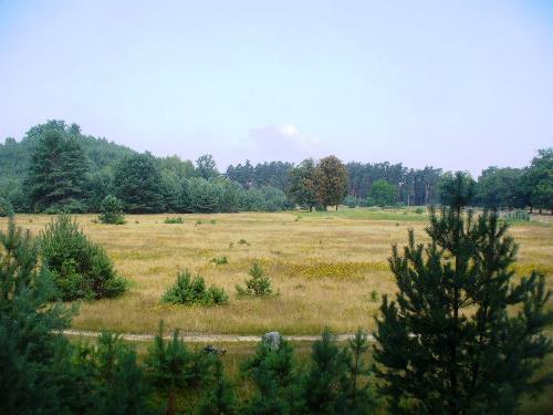 Bezles Strov