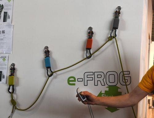 Kong e-frog