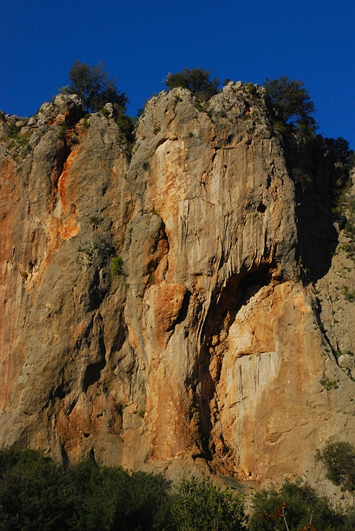 Sektor Anatolia 
