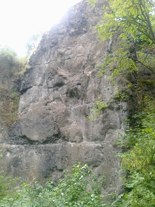 stna
