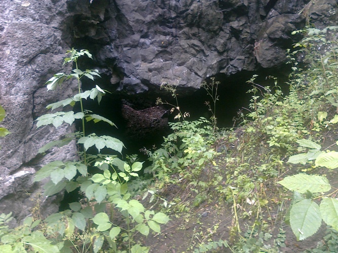 tola